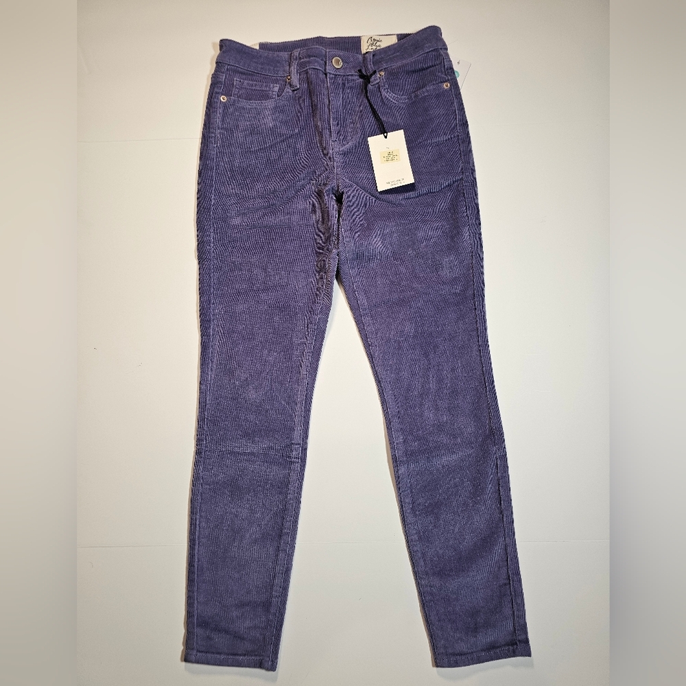 Stitch Fix Cosmic Blue Love Corduroy Periwinkle Plum Size 27 NWT